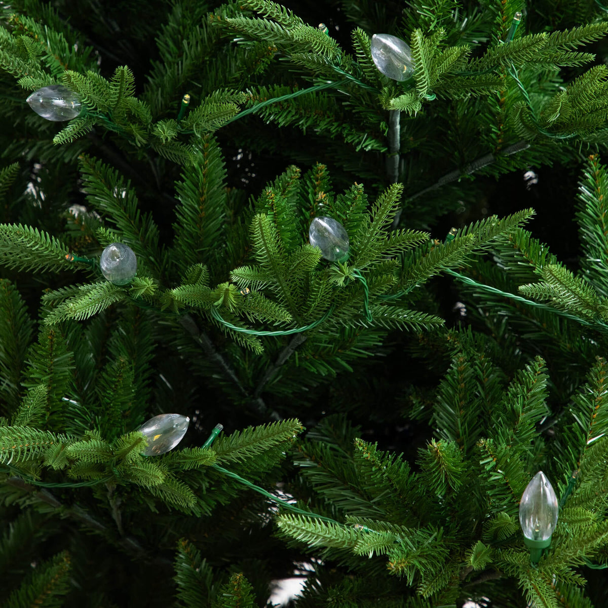 a close up of a tree