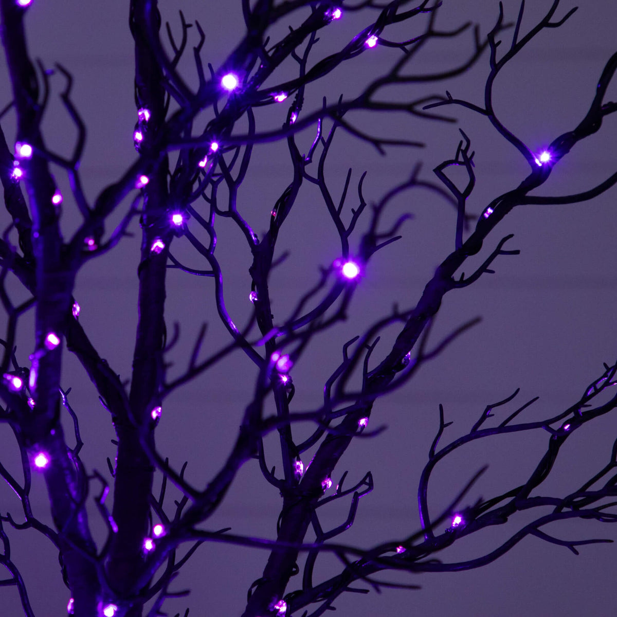 a tree with purple lights
