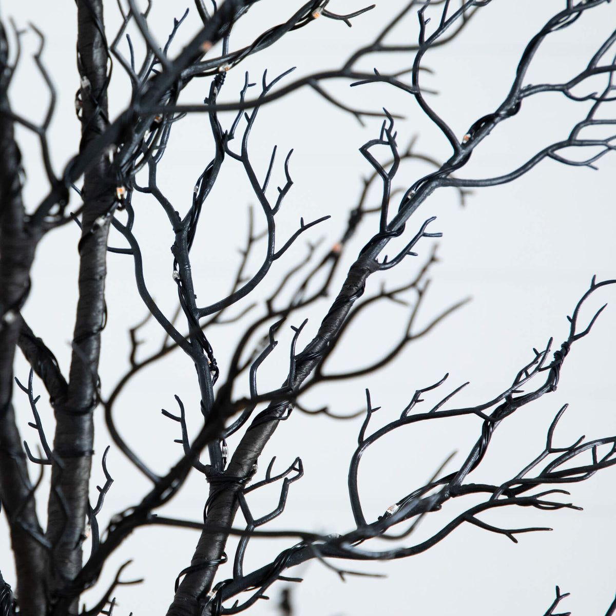 a black tree branch with no leaves