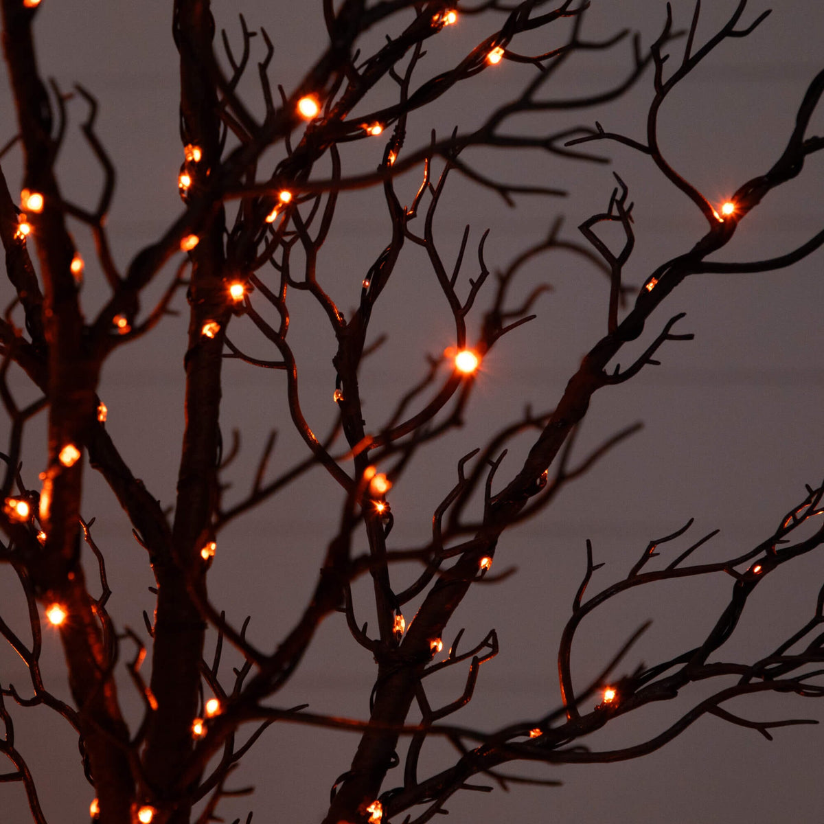 a tree with lights on it