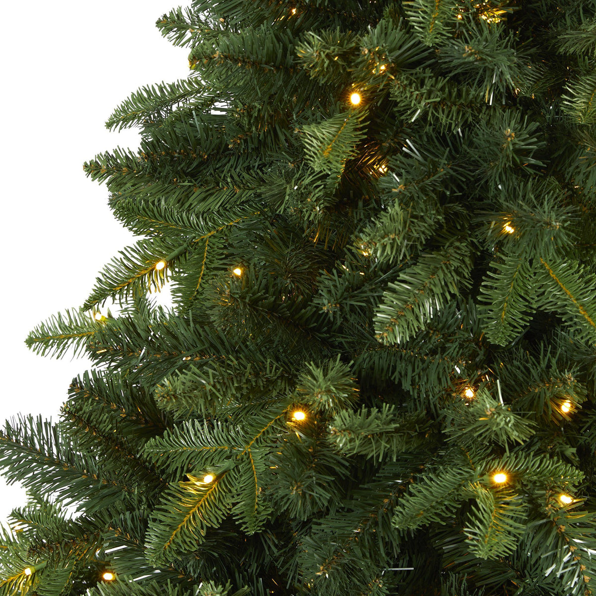 a close up of a christmas tree