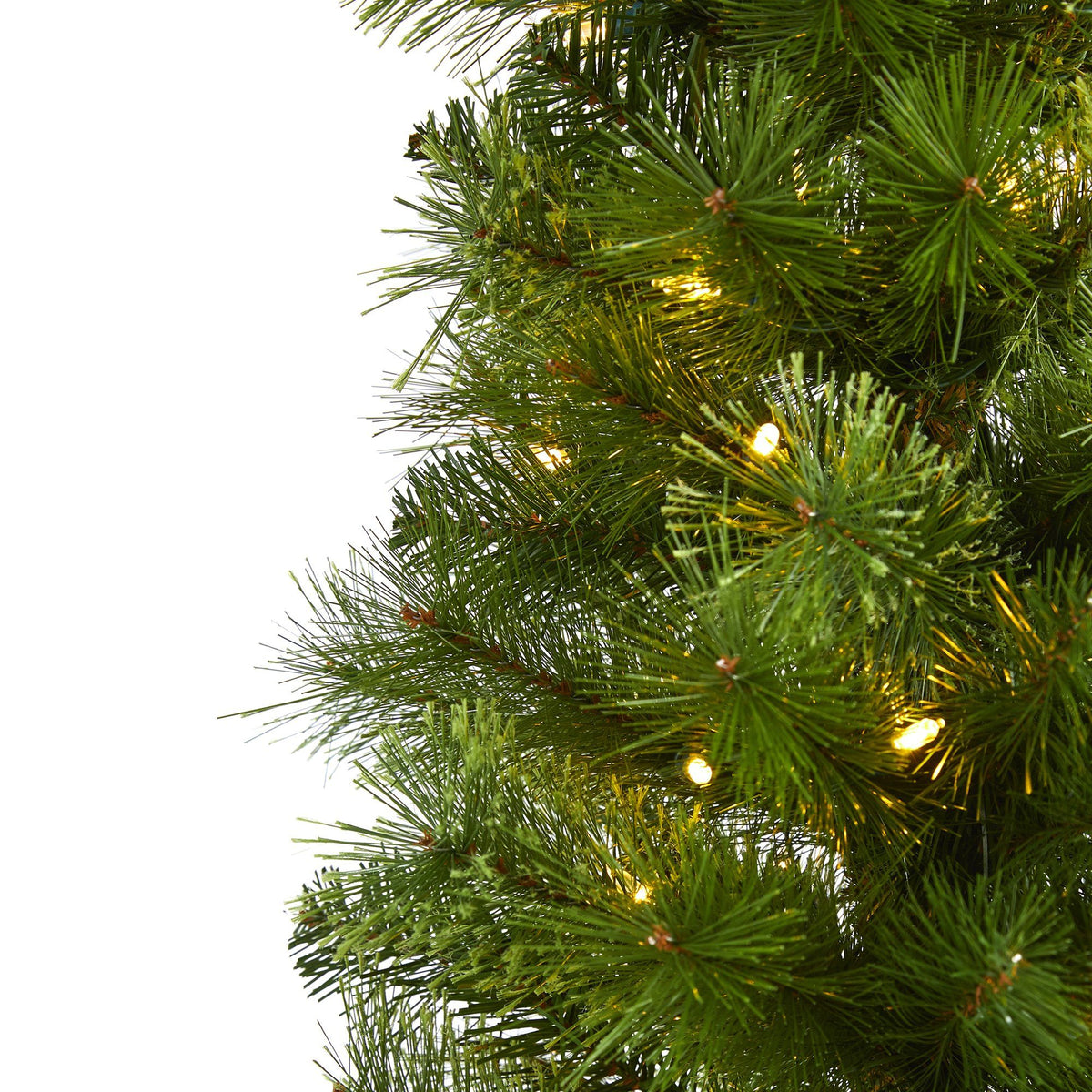a close up of a christmas tree