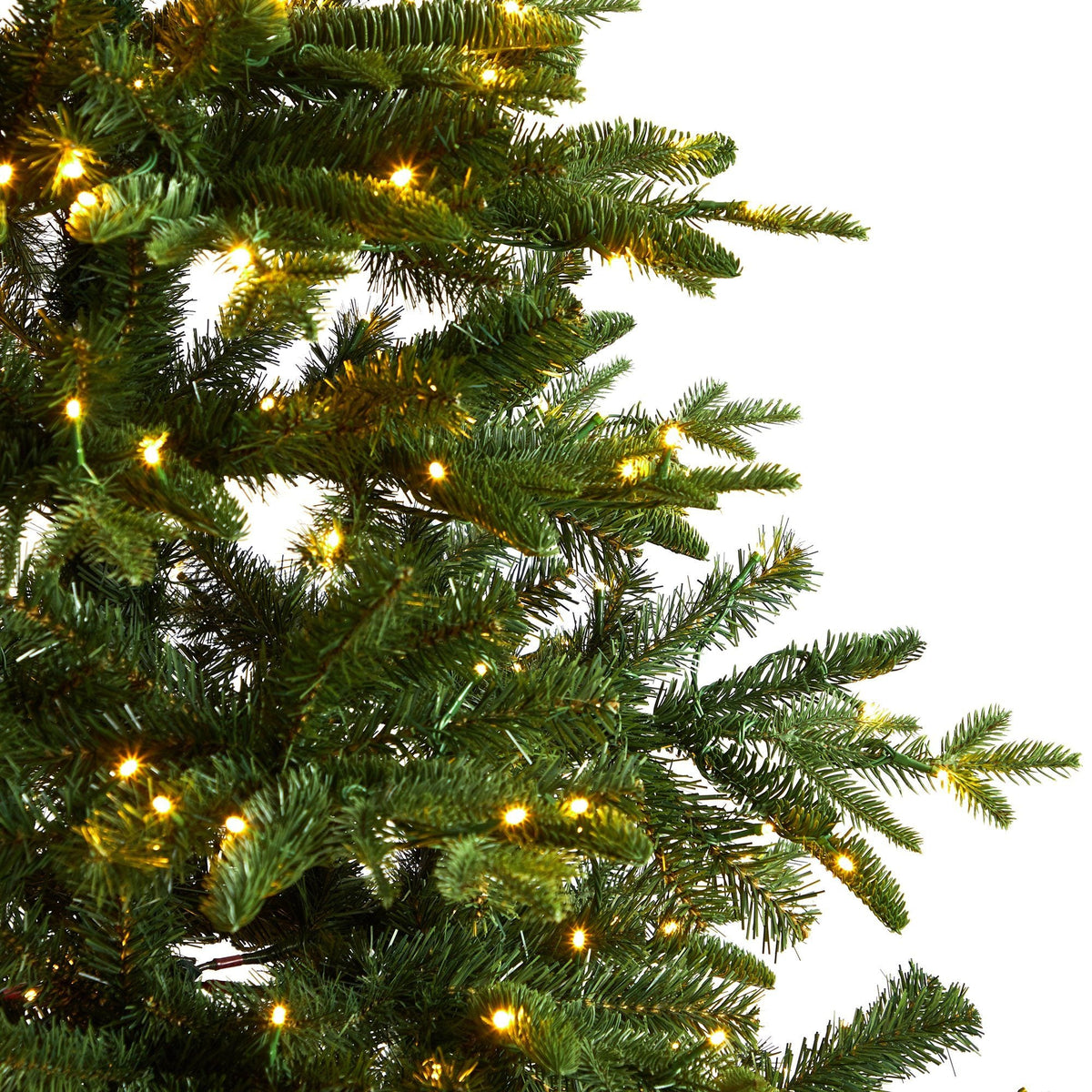 a close up of a christmas tree