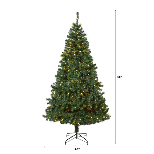 a christmas tree with lights and a height of a tree