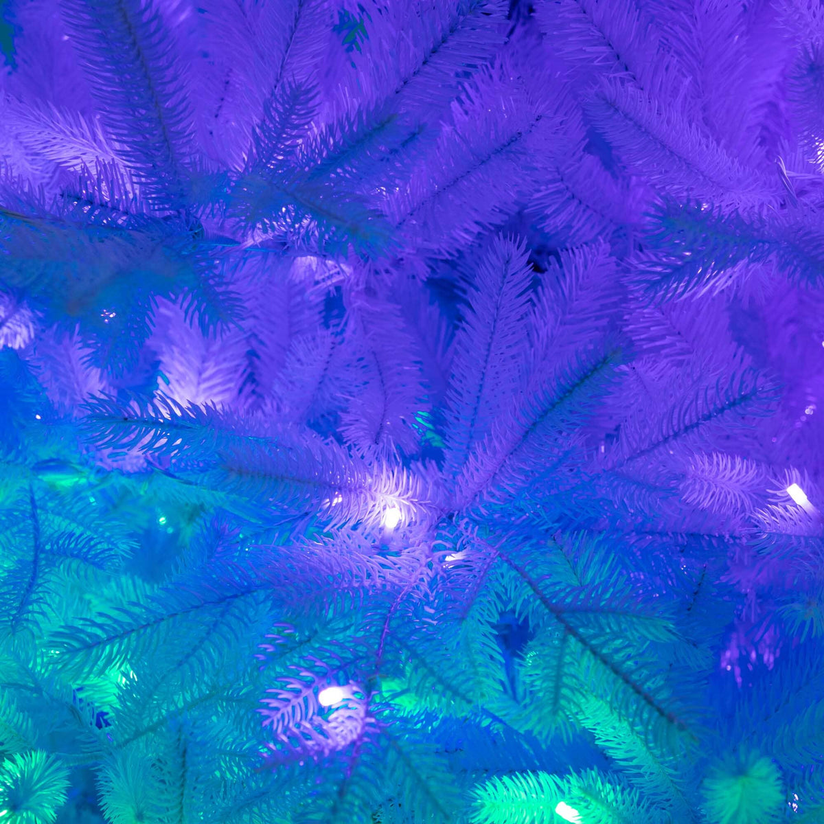 a close up of a tree