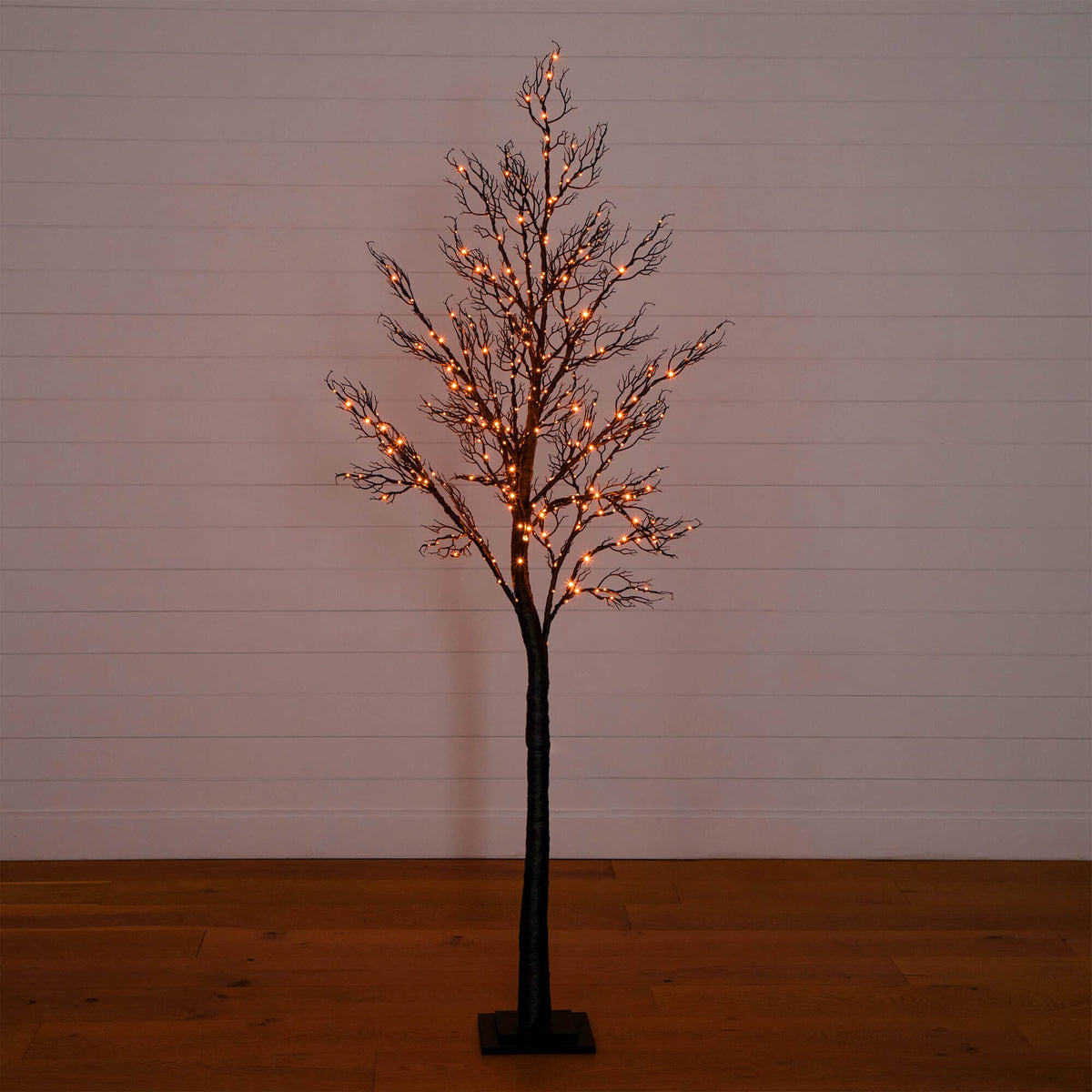 a tree with lights on it