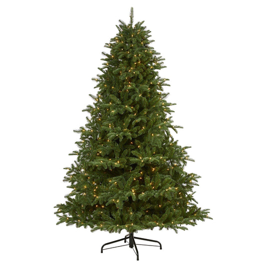 a christmas tree with lights