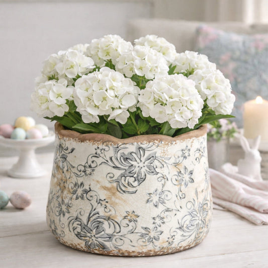 a white flowers in a vase
