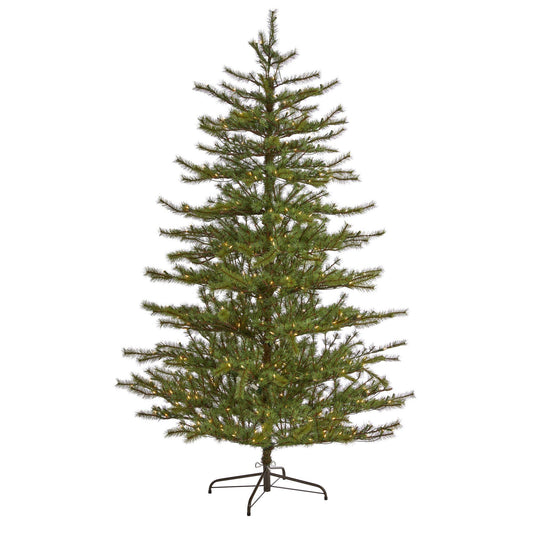 a christmas tree with lights