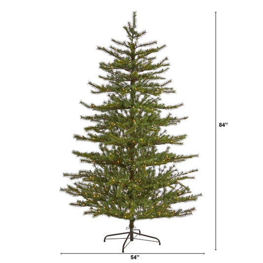 a christmas tree with lights