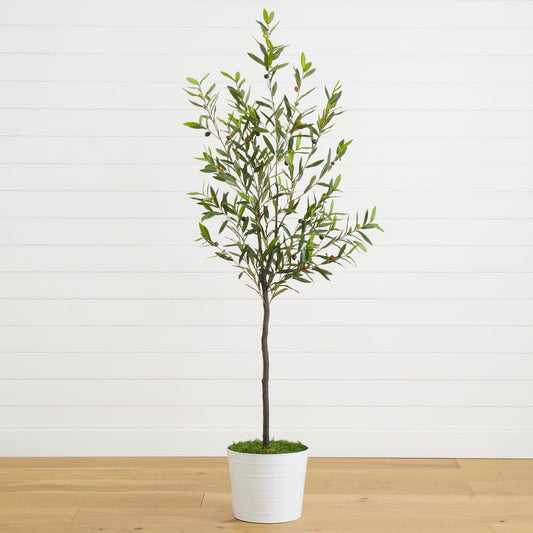 a tree in a pot