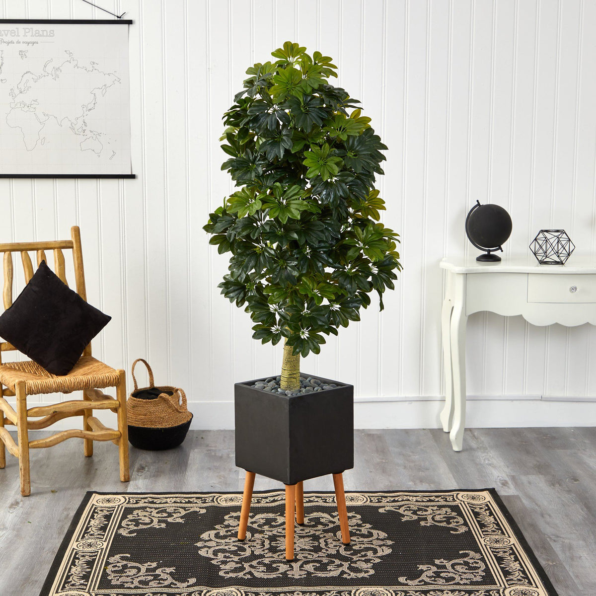 a plant in a pot in a room