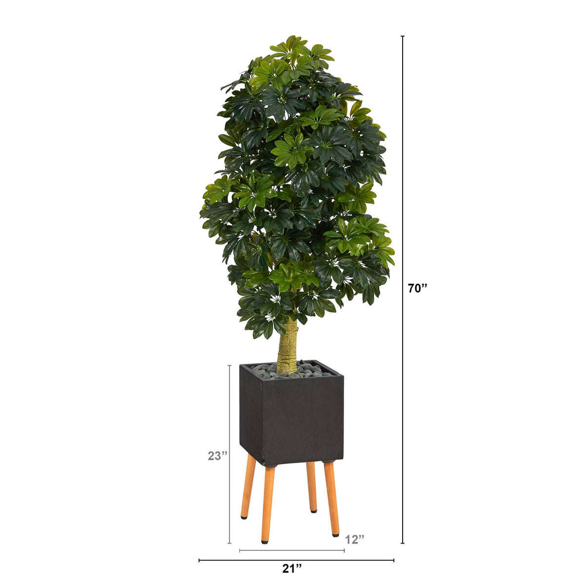 a tall plant in a pot