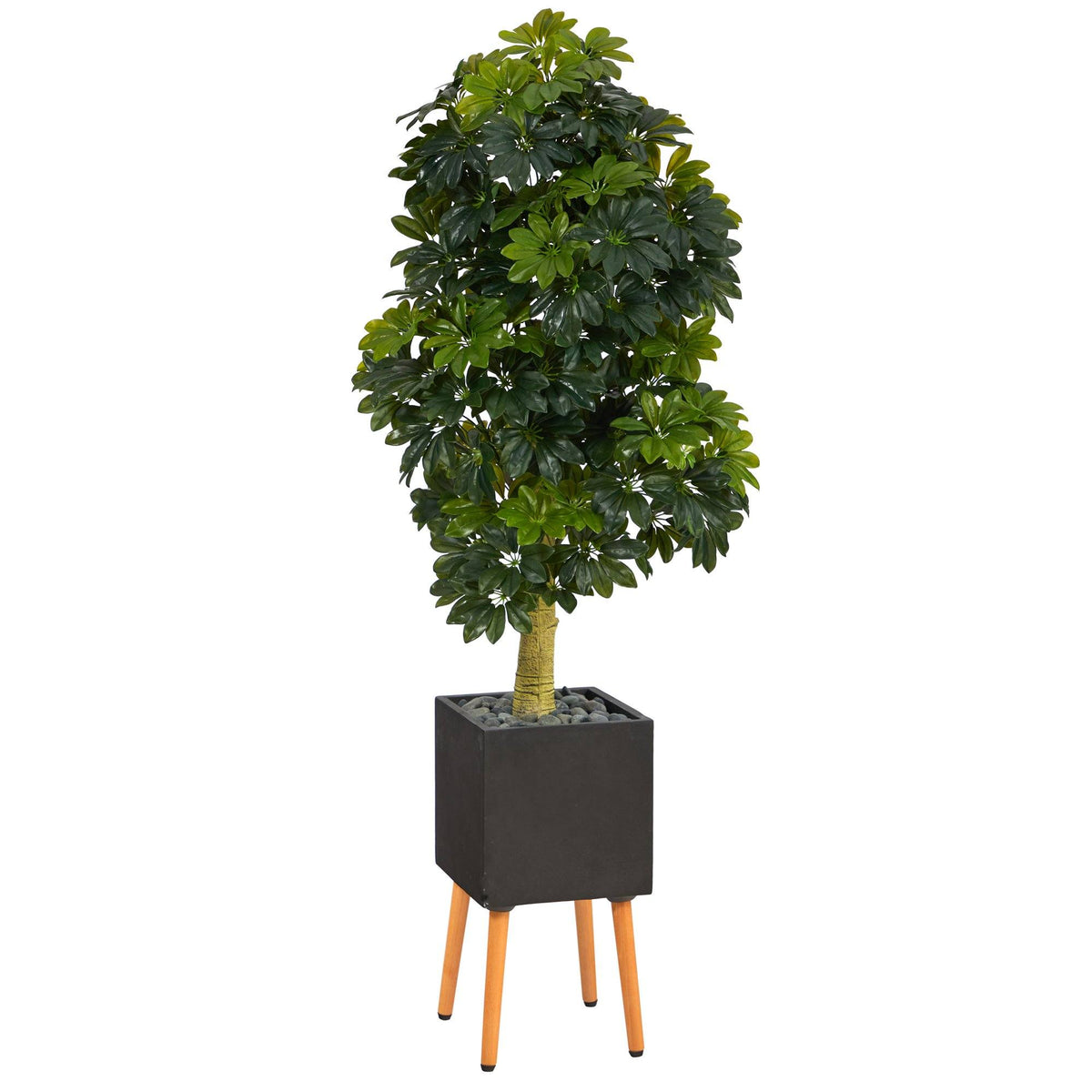 a plant in a pot