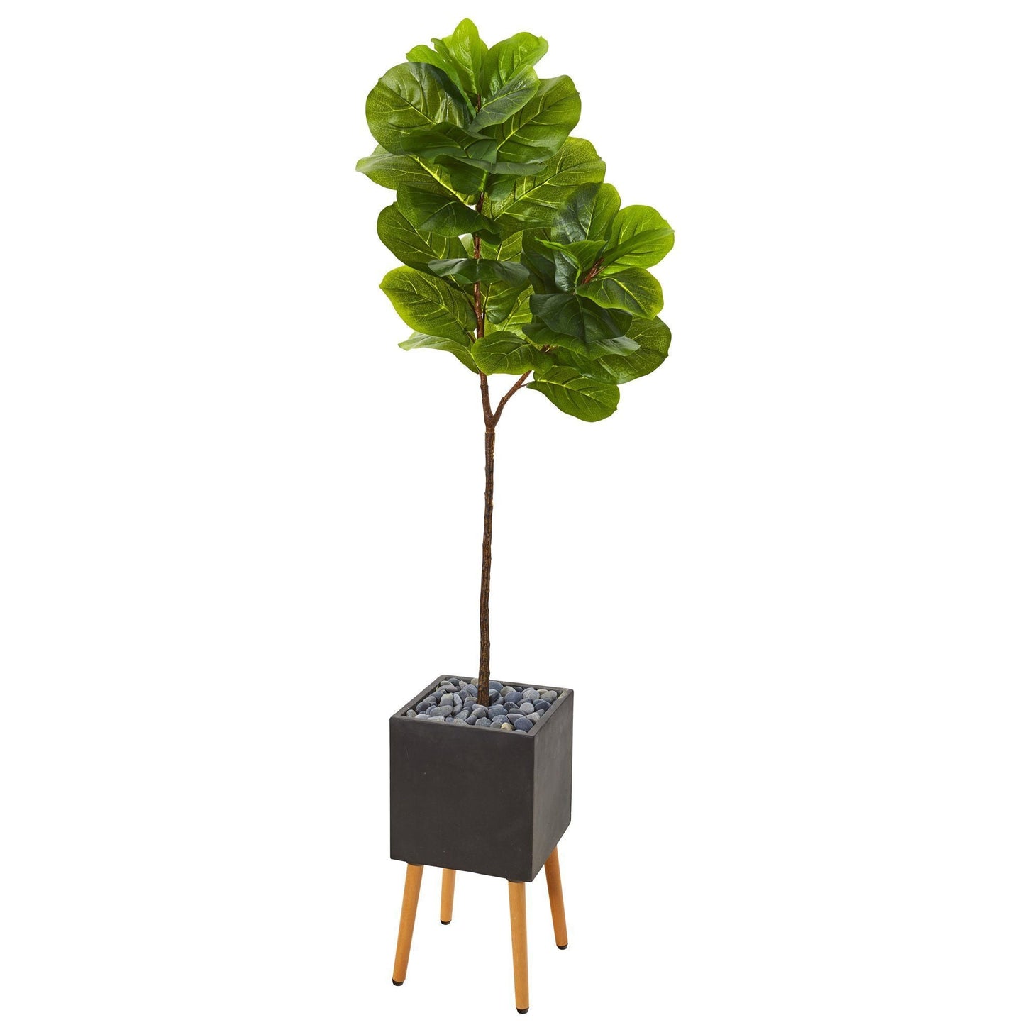 71” Fiddle Leaf Artificial Tree in Black Planter with Stand (Real Touch)