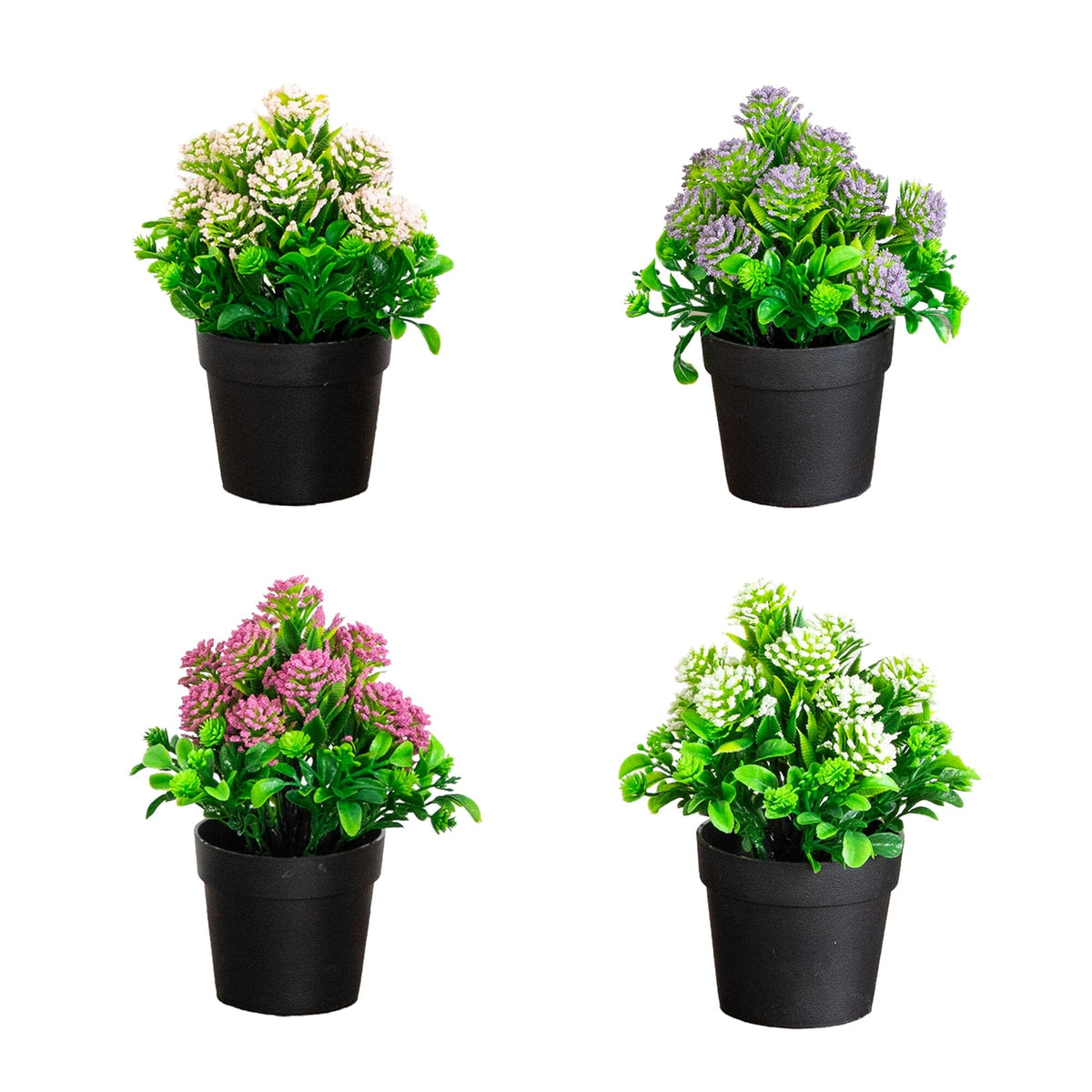 a group of potted plants