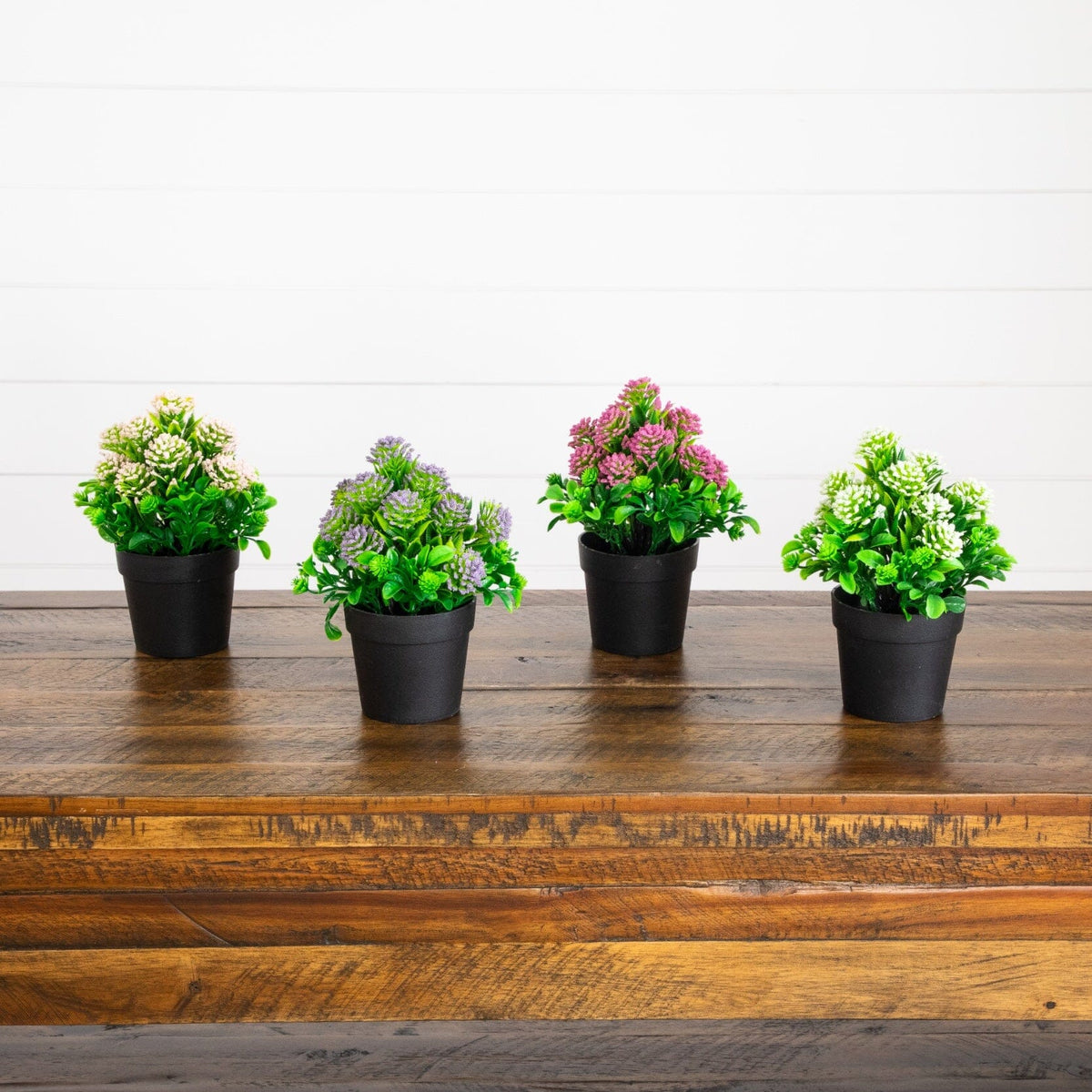 a row of potted plants on a wooden surface