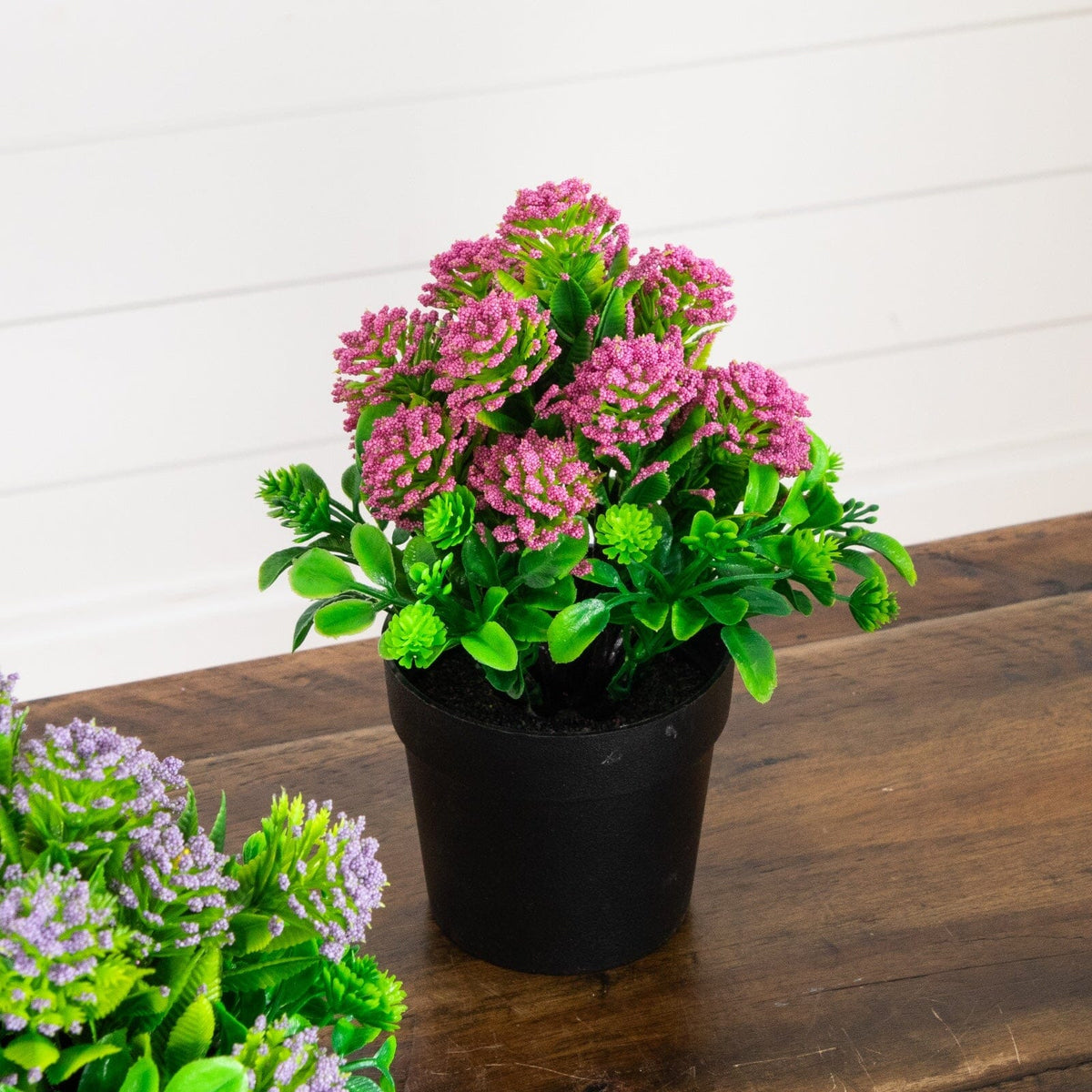 a potted plant with purple flowers