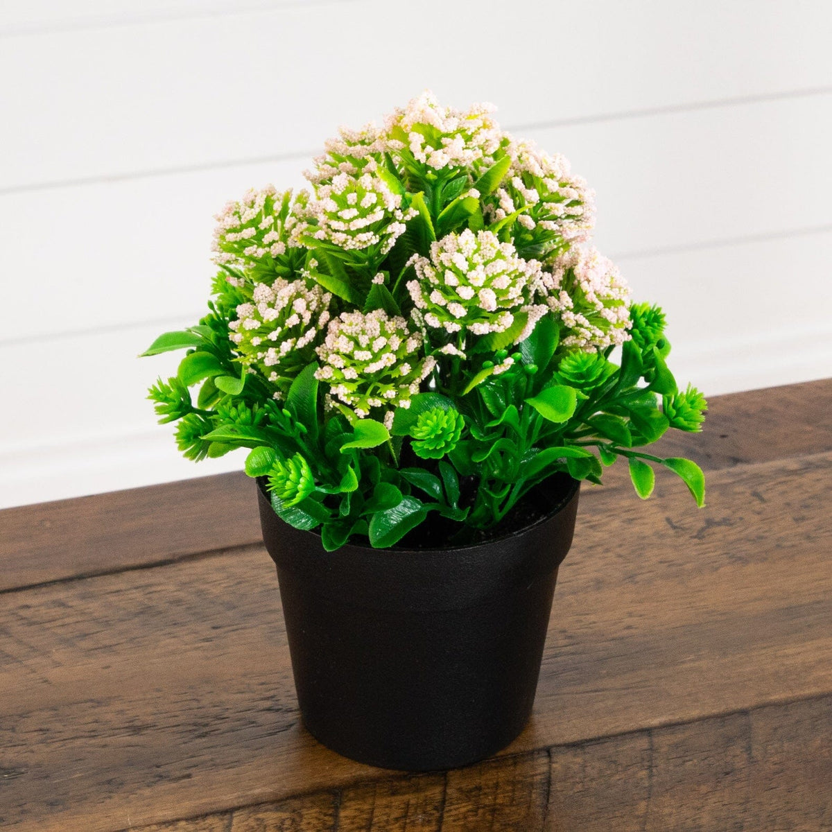 a potted plant on a table