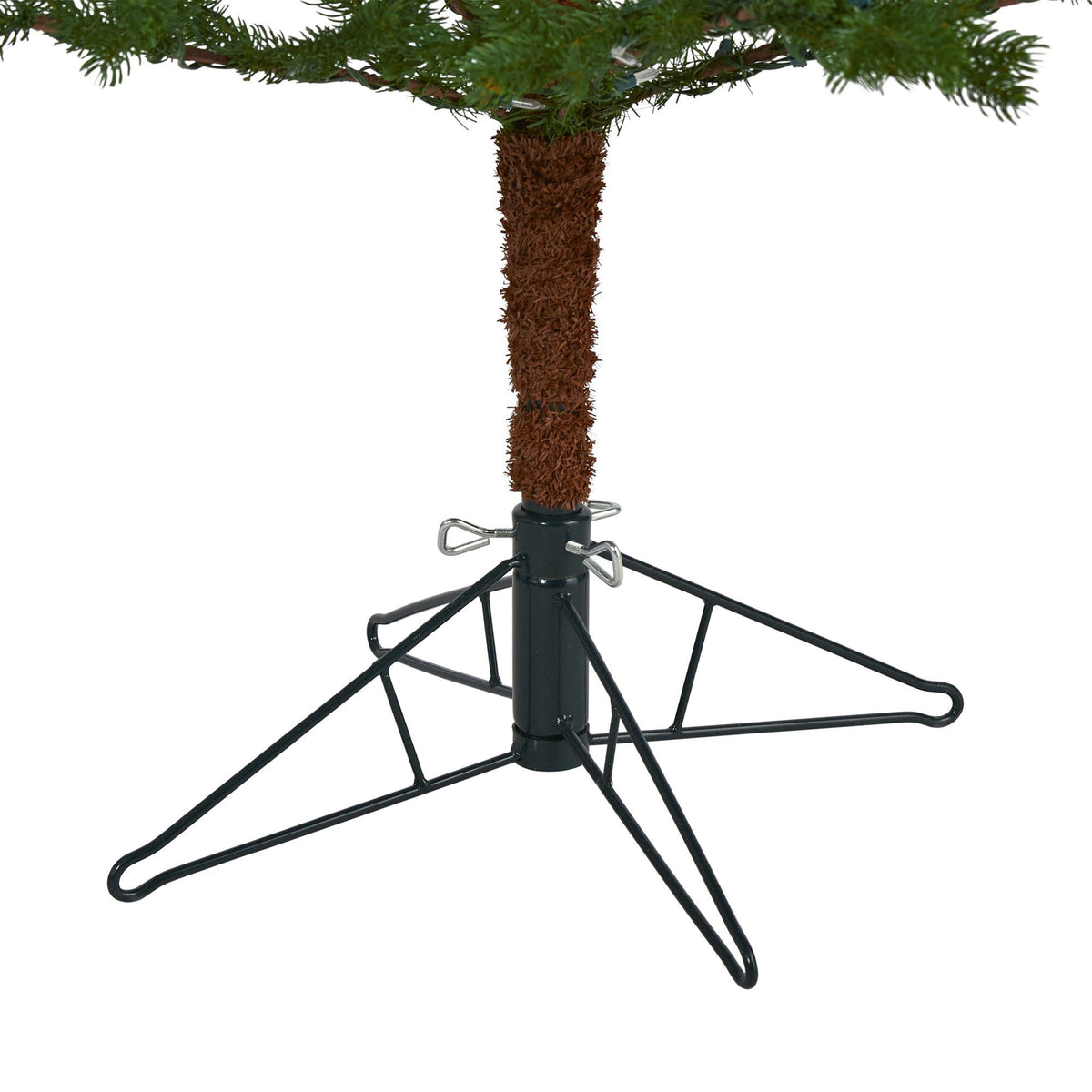 a tree with a tree trunk