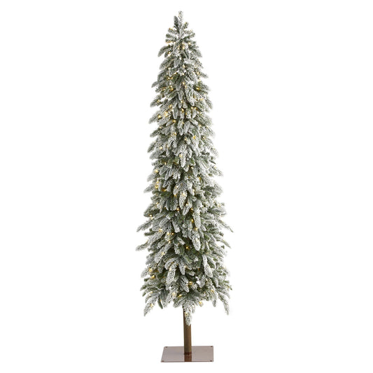 a tall christmas tree with lights
