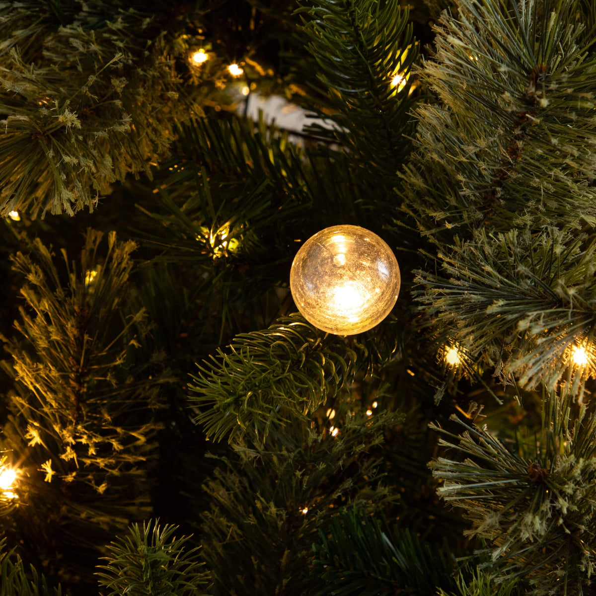 a close up of a tree