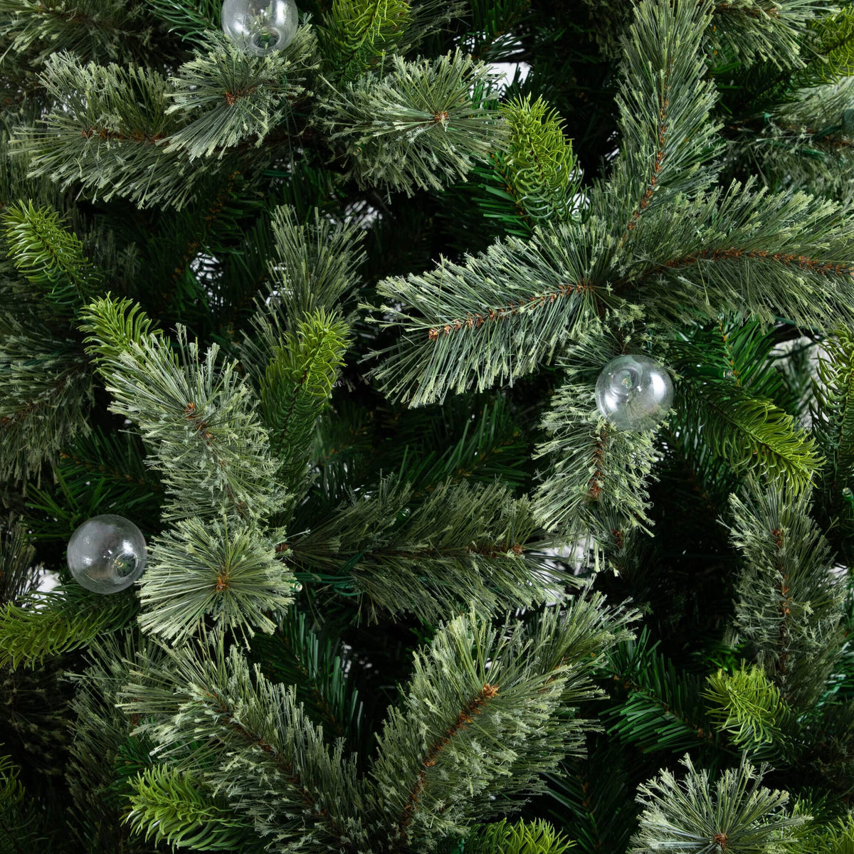 a close up of a tree