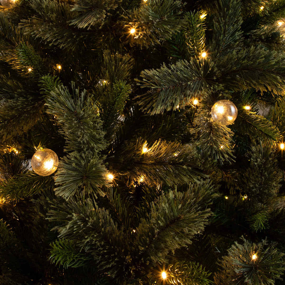 a close up of a tree