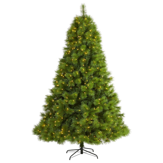 a christmas tree with lights