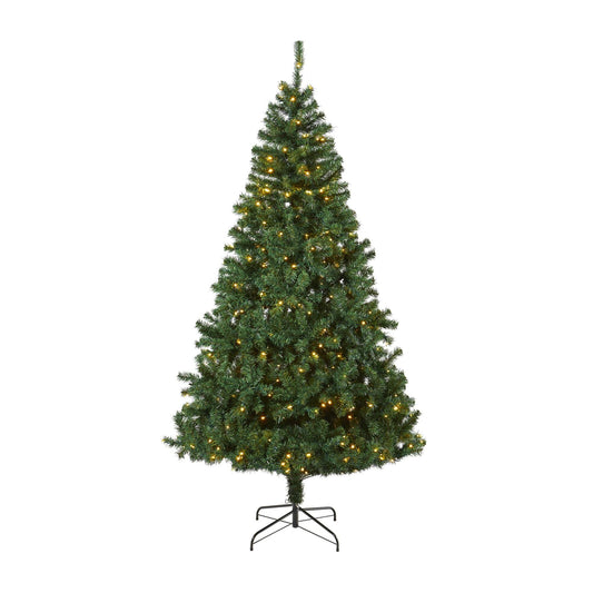 a christmas tree with lights