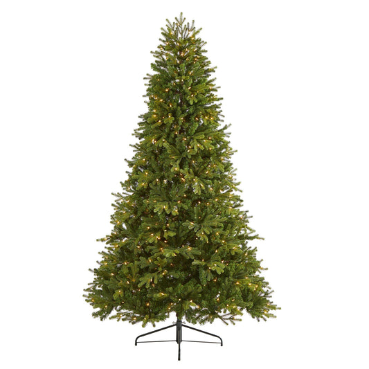 a christmas tree with lights