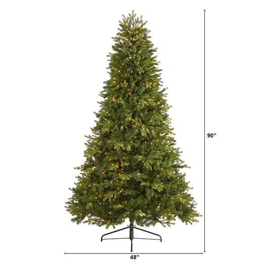 a tall christmas tree with lights