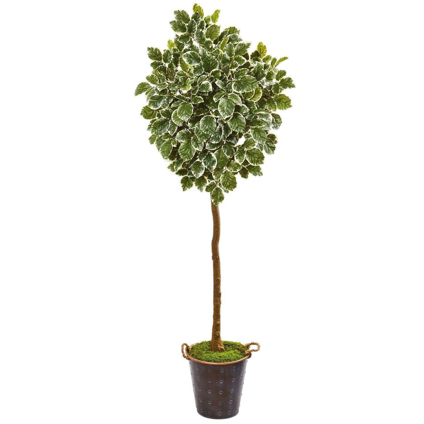 77” Variegated Aralia Artificial Tree in Metal Planter