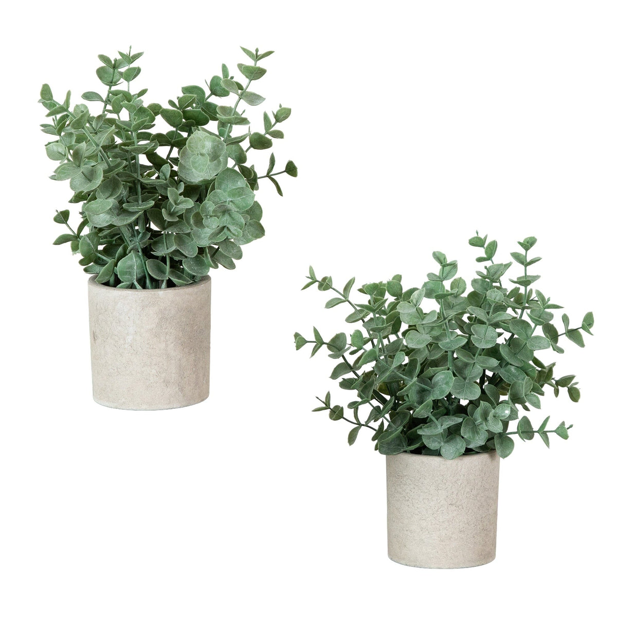 a pair of potted plants