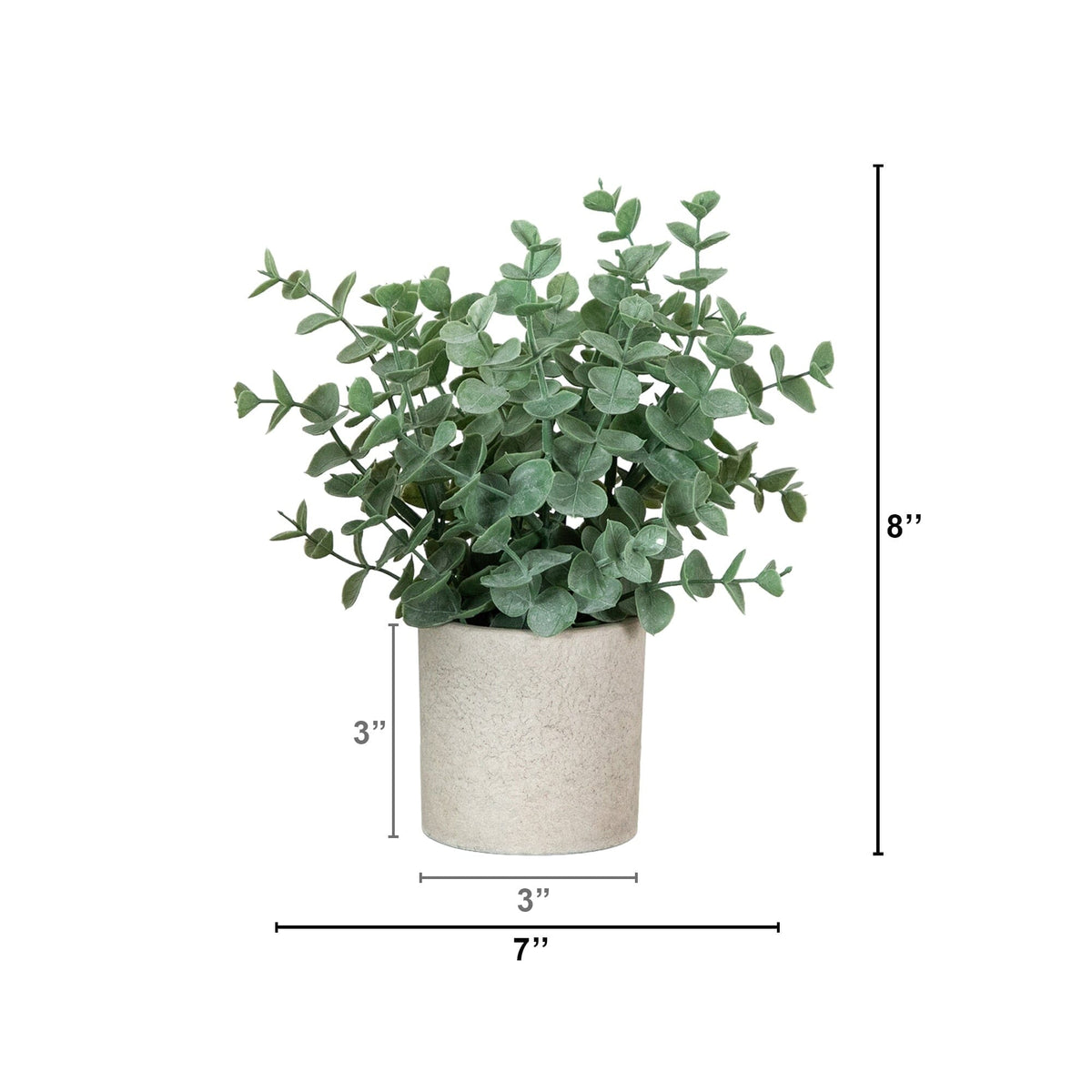 a plant in a pot