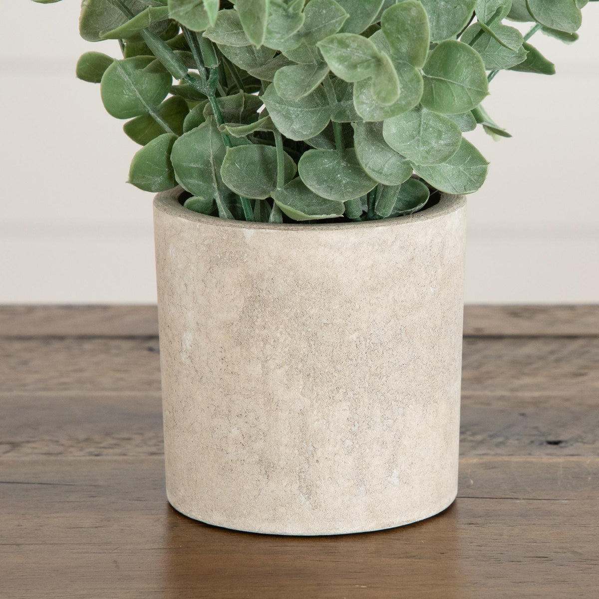 a plant in a pot