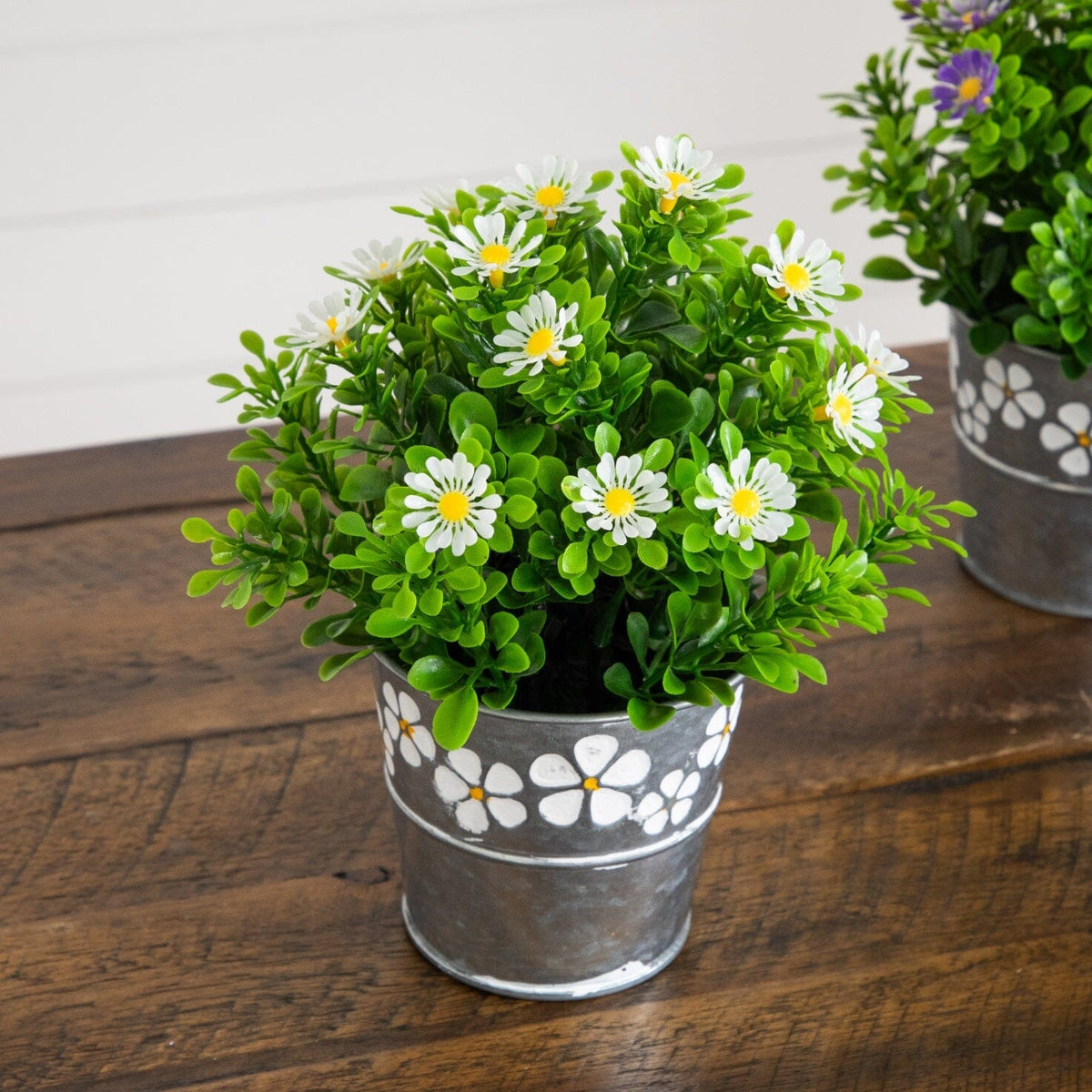 a potted plant with flowers
