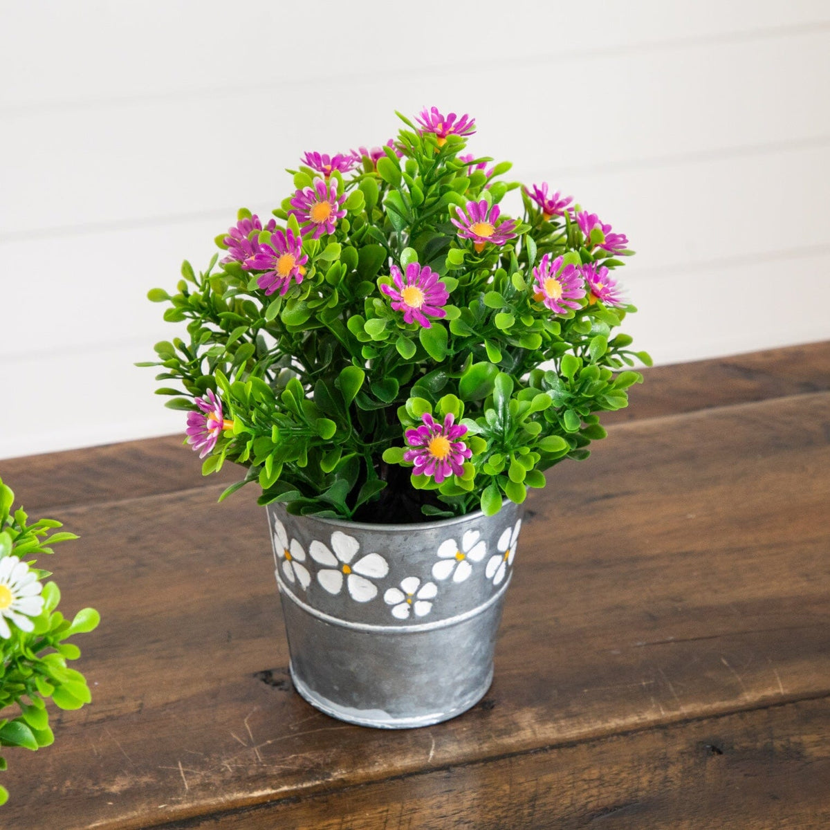 a potted plant with flowers
