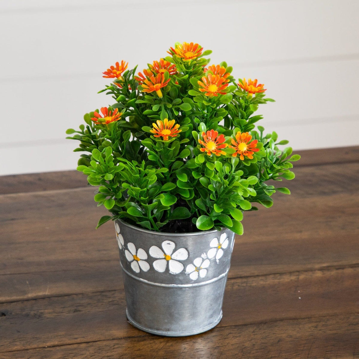 a potted plant with orange flowers
