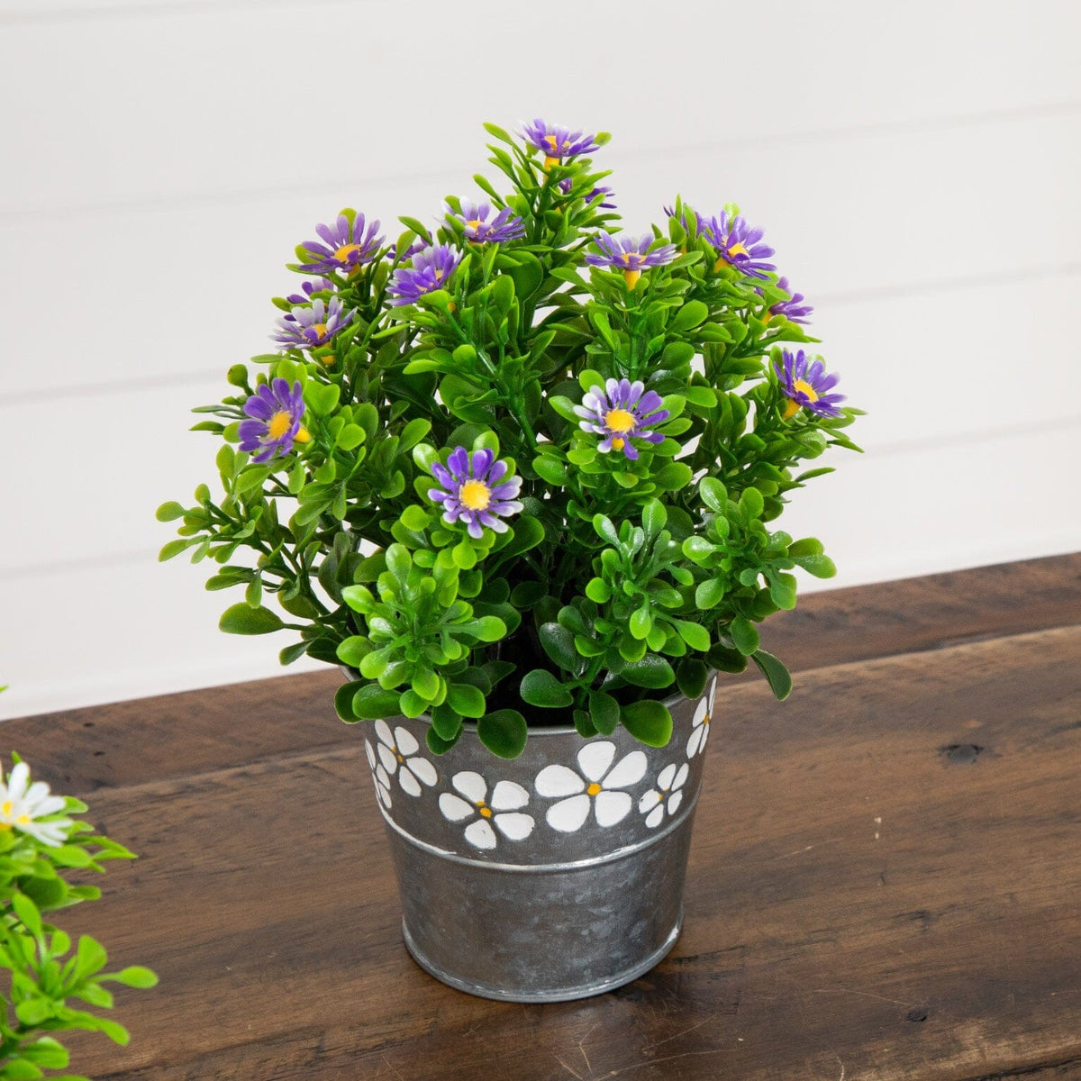 a potted plant with purple flowers