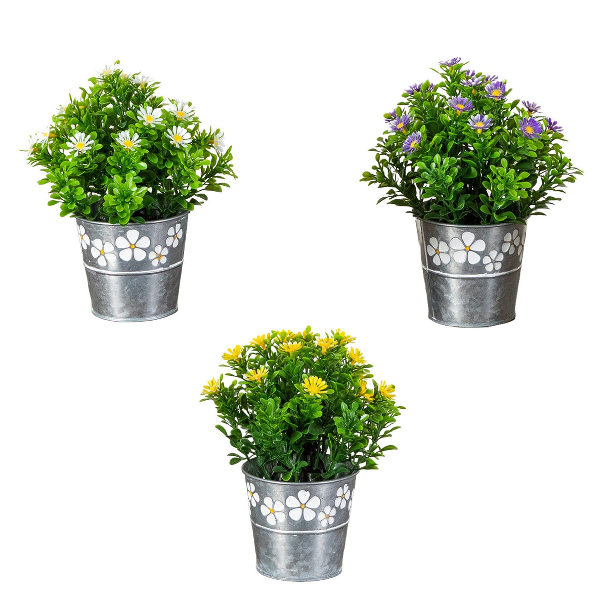 a group of potted plants