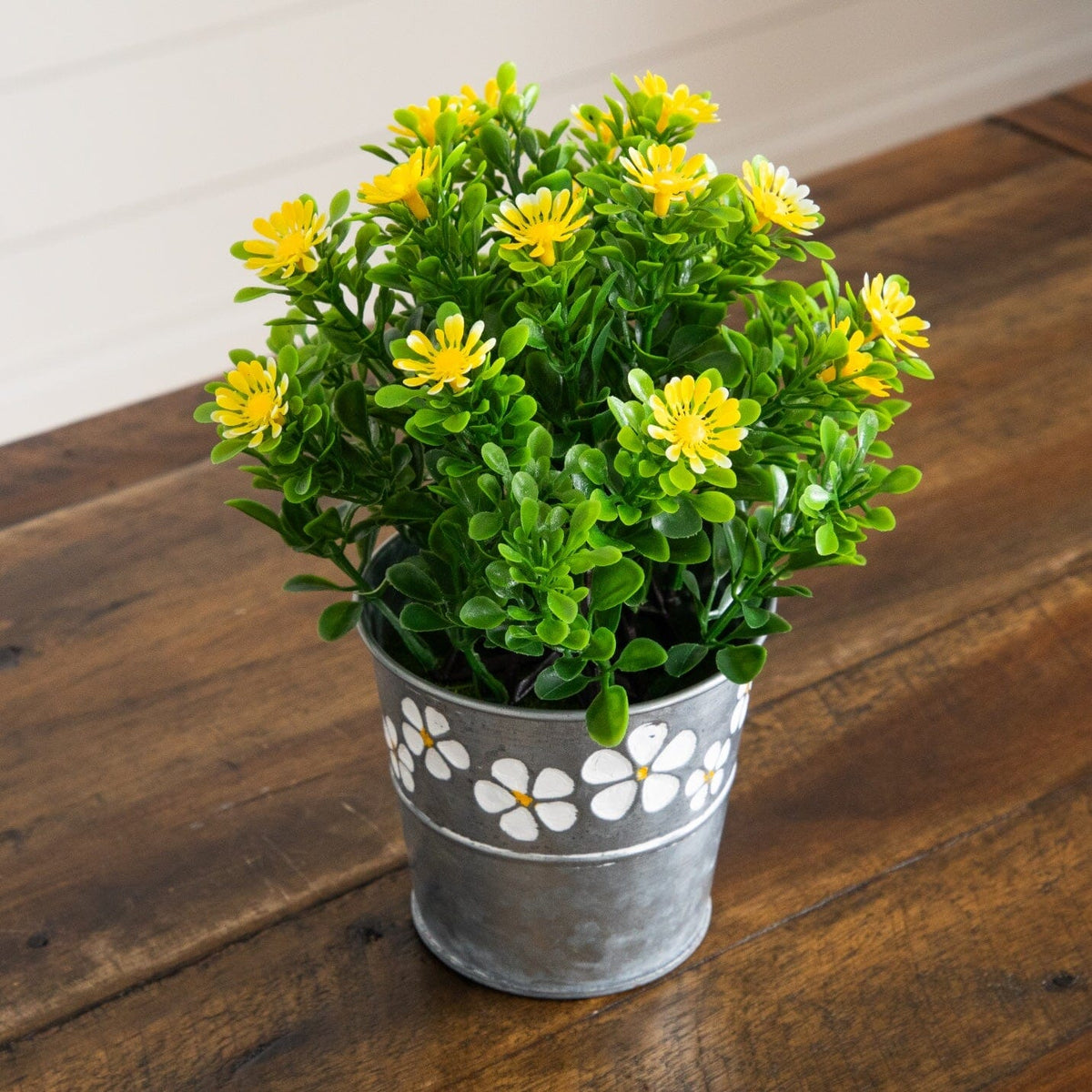a potted plant with yellow flowers