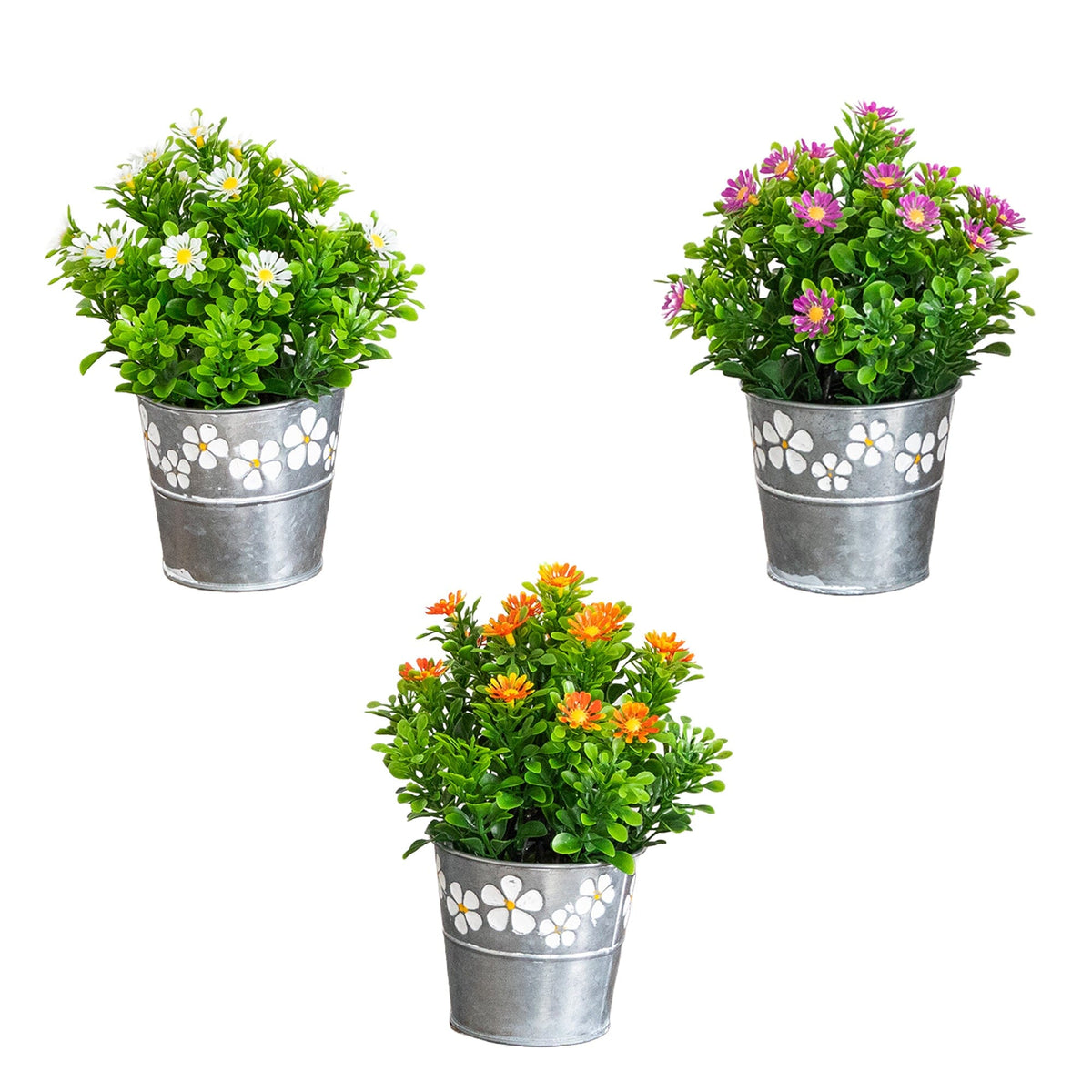 a group of potted plants