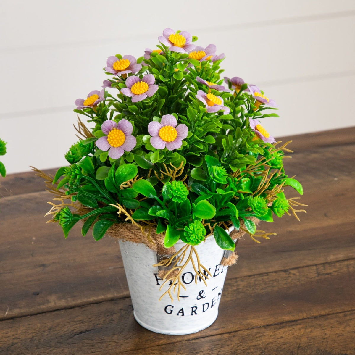 a potted plant with purple flowers