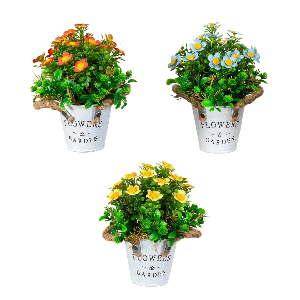 a group of flowers in a pot