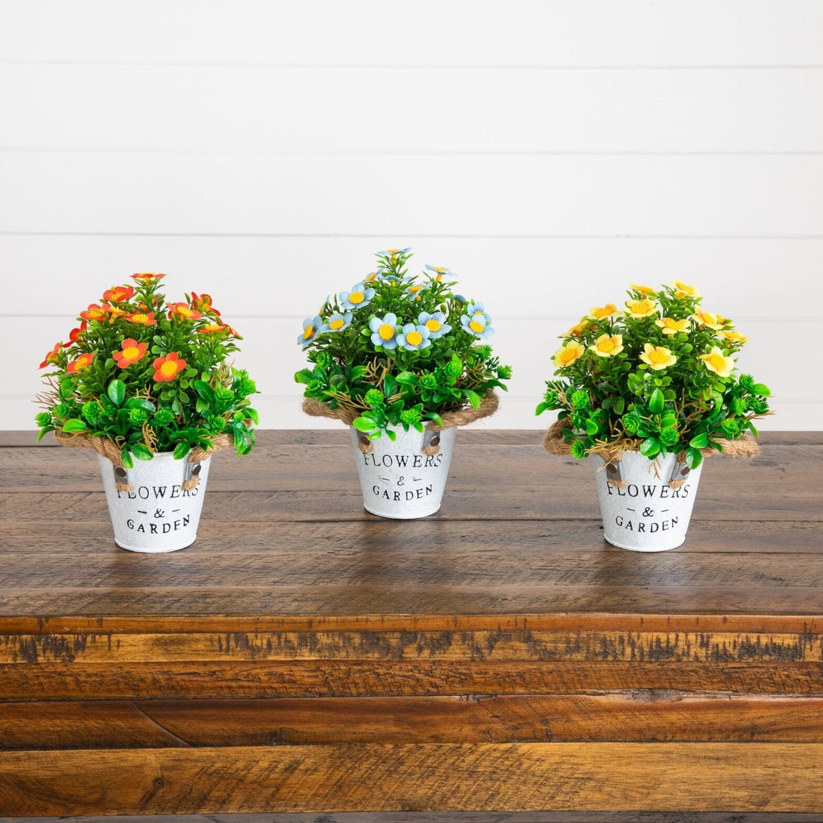 a group of potted plants on a table