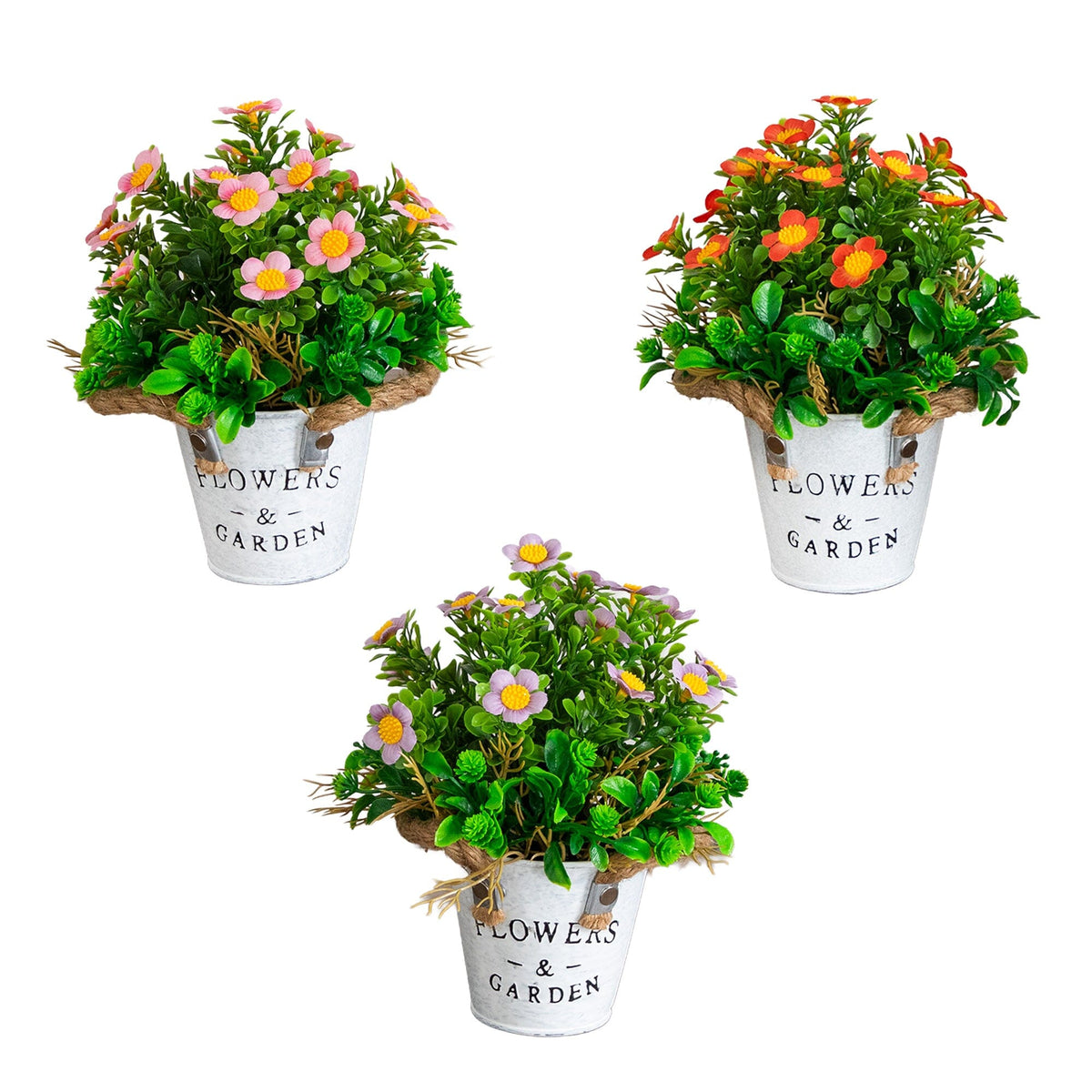 a group of potted plants