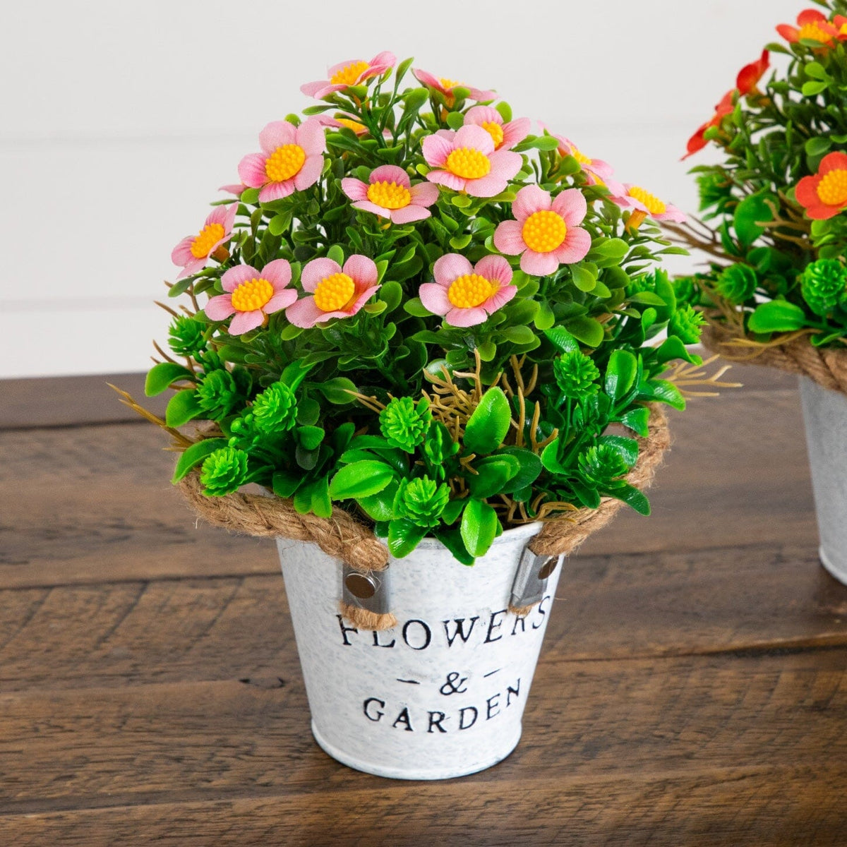a plant in a bucket