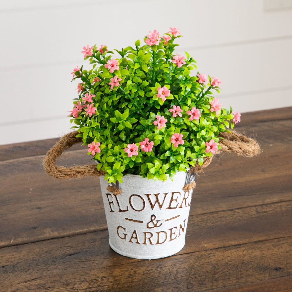 a potted plant with pink flowers