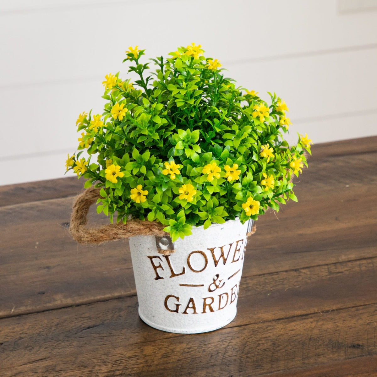 a potted plant with yellow flowers